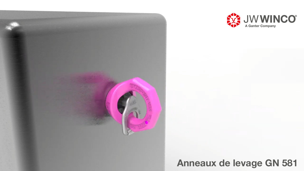 Anneaux de levage de roulette de sécurité GN 581