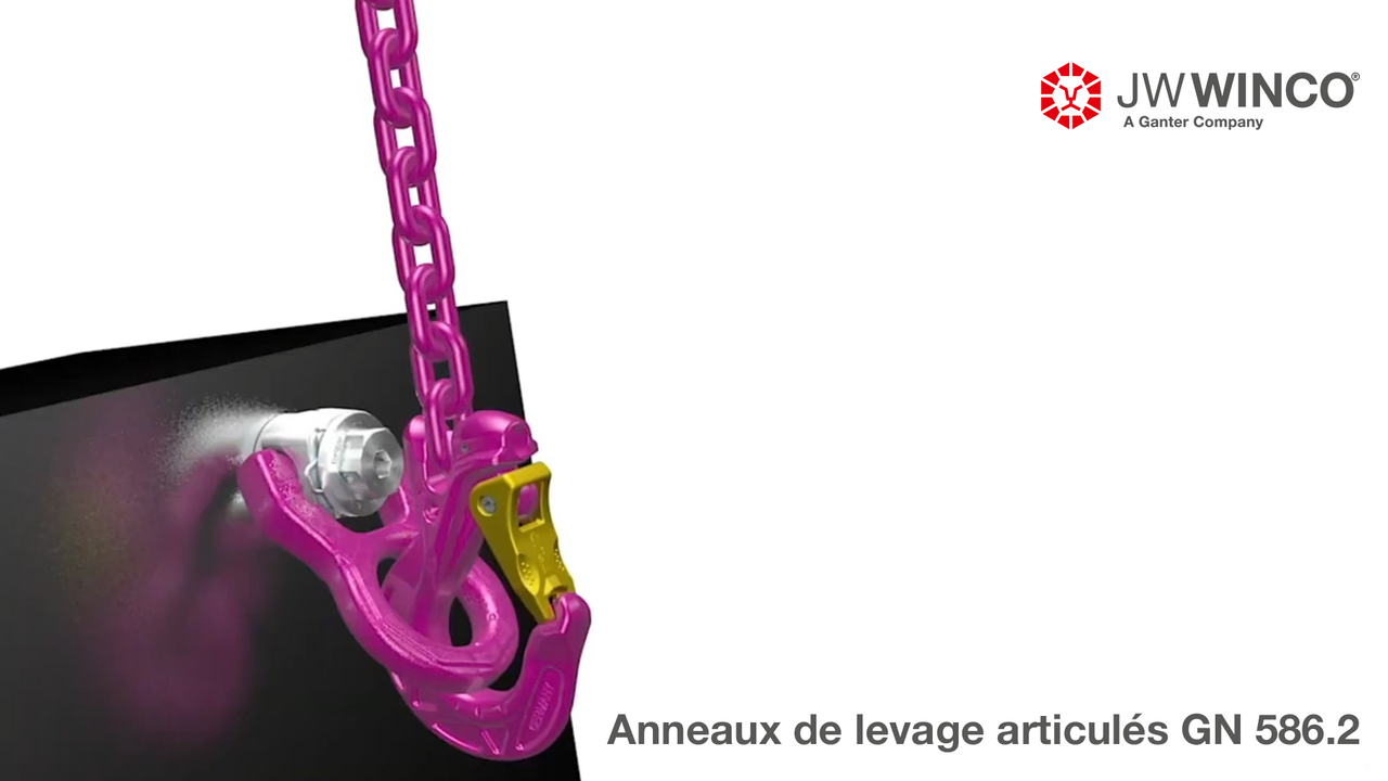 Anneaux de levage articulés (rotatifs) GN 586.2